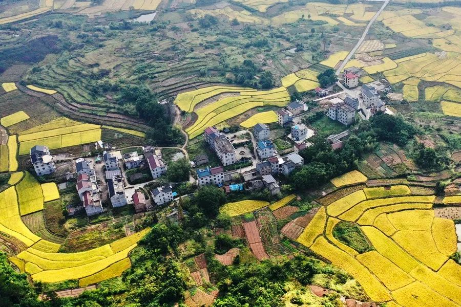 武义县王山头村图片