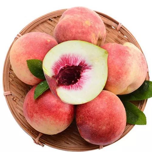 一年等一回大凉山会理龙滩冬桃新鲜现摘全国包邮