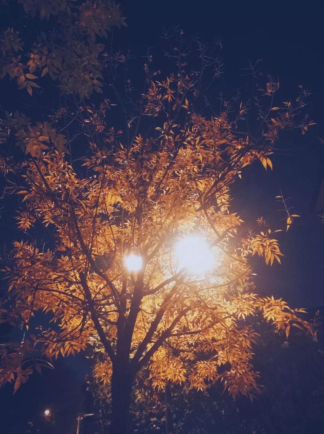 日常集时间里的光