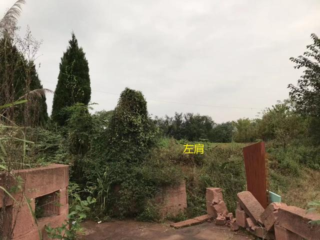 原创大清战神岳飞后人宁远大将军岳钟琪祖墓考察记风水道先生