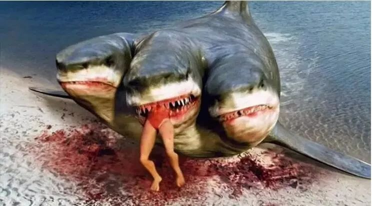 夺命七头鲨鱼图片