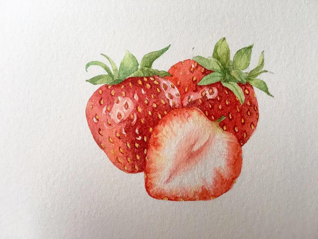 水粉草莓画法图片