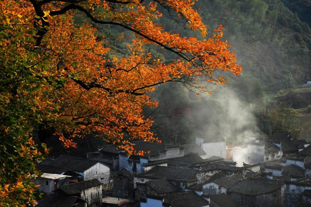 婺源旅遊攻略四季皆美如畫之遊熹園