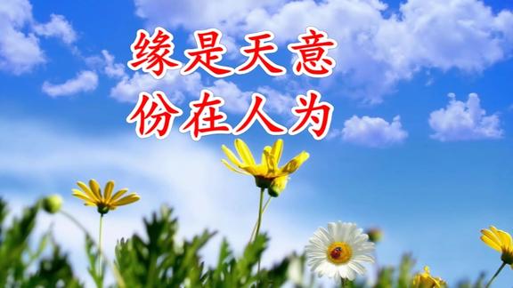 份在人为缘是天意