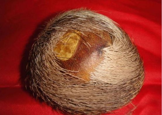 犀角辟邪护平安清心解毒入安宫