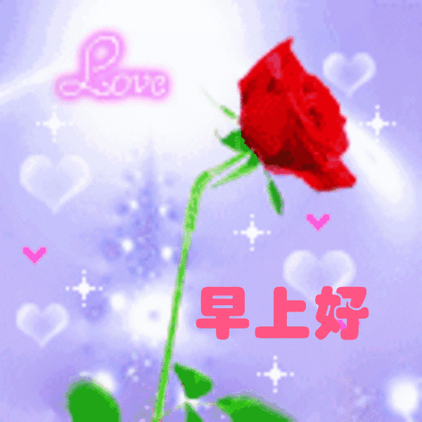 周三早上好暖心的问候祝福句子祝早晨快乐