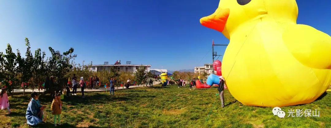 周末时光20190176期保山云桑庄园紫藤花文化节侧记