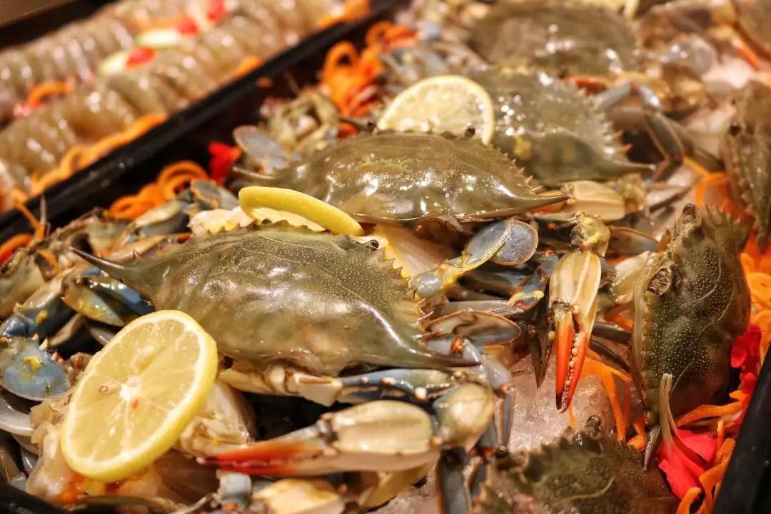 小肥羊全店升级自助宴登场致敬费城初雪鲜掉眉毛的金汤酸辣锅涮煮50