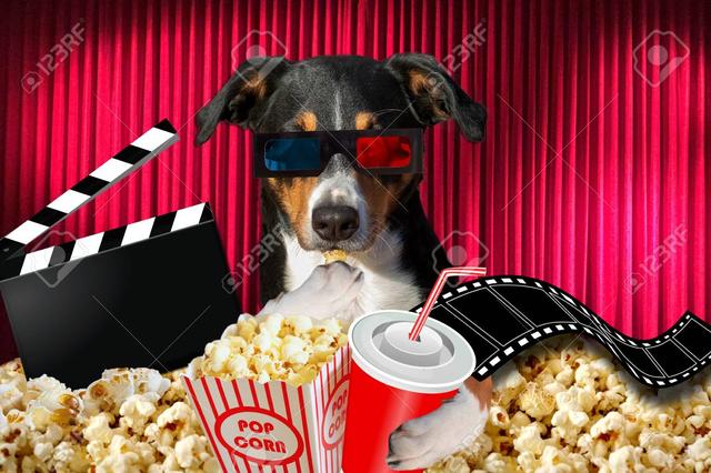 跟狗狗一起看电影能跟狗狗一起分享爆米花吗爆米花对狗有害吗