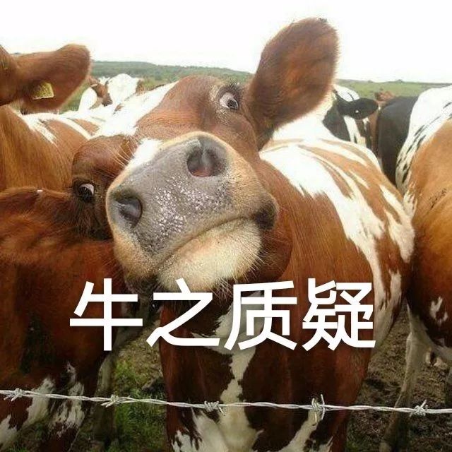 牛:看我的新造型怎么样?斑马不太容易招虫子.