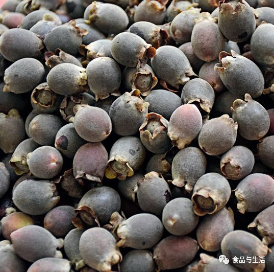 有故事的野果桃金娘