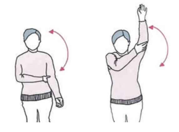 肩关节屈伸运动图片