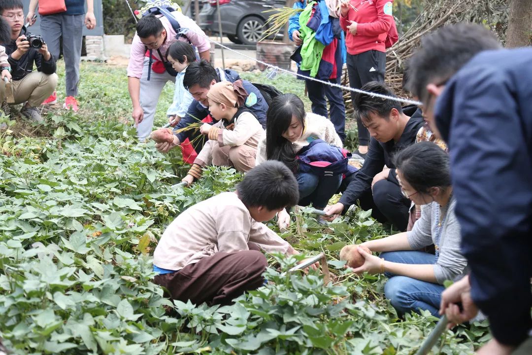 莫干山蚕乐谷游记