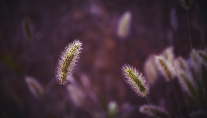 当家电产品没有利润时，免费服务将乱象丛生-家电圈官网