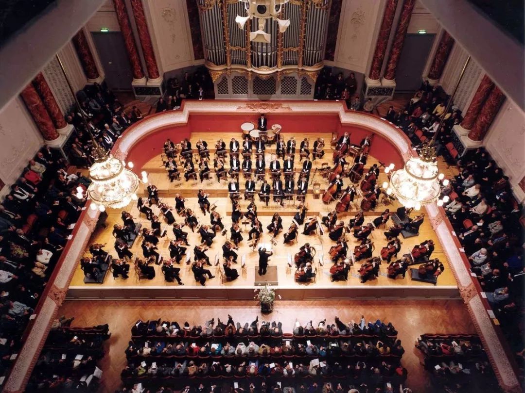 为什么大提琴的"针"不直接杵在地上?