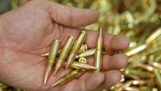 不可思议!考古挖到一只2亿年前的恐龙, 将其射杀的竟是一颗子弹