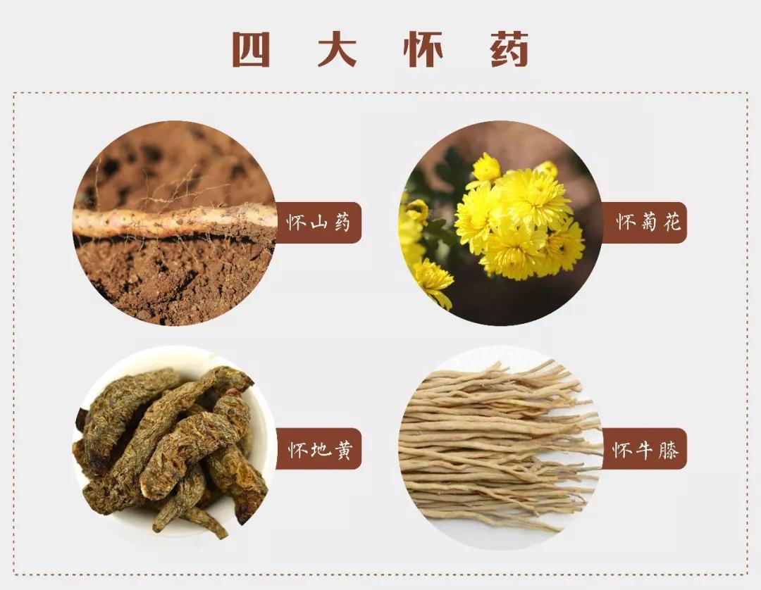 四大怀药简笔画图片