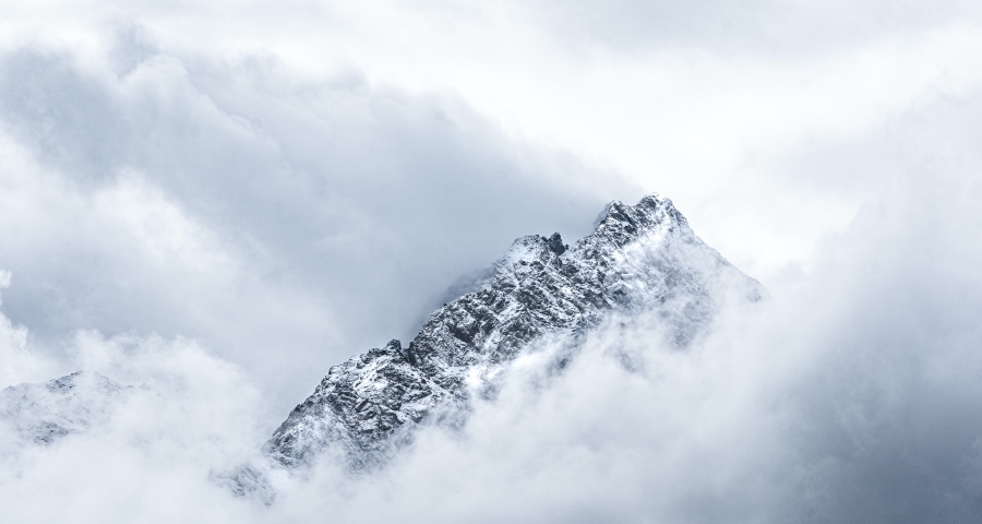 高端家电市场突然加速腐朽：低价乱战、伪高端抢戏、杂牌投机-家电圈官网