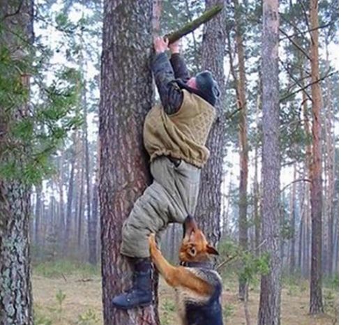 人被狗追时,为什么一蹲下狗狗立马会"落荒而逃"?可算清楚了!