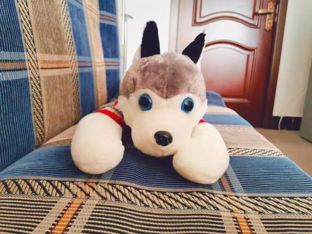 【布尔津暖冬】津津相连 情暖西部