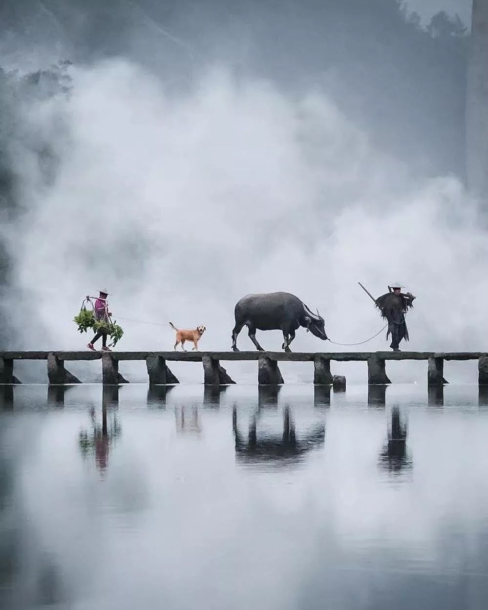 圣嘉佰利东方居中式雅韵东方意境