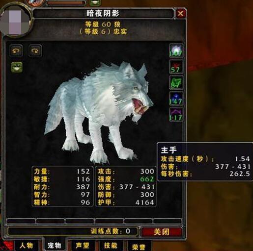 魔兽世界怀旧服:60年代中,最适合猎人的宠物都有哪些?