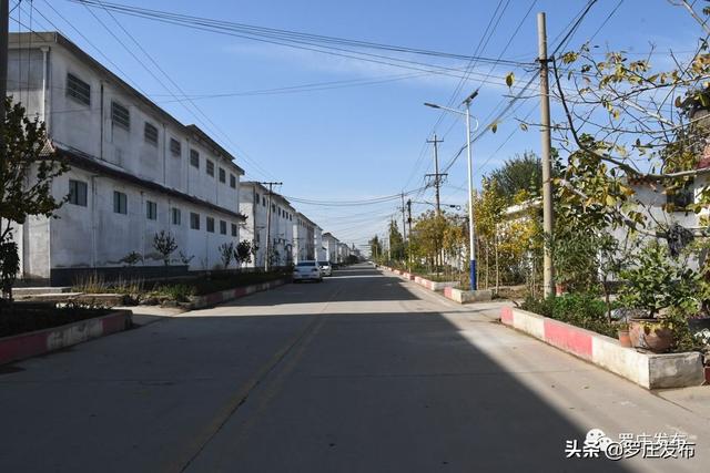 【五小为民③】为群众办实事,解难事!罗庄街道这样干