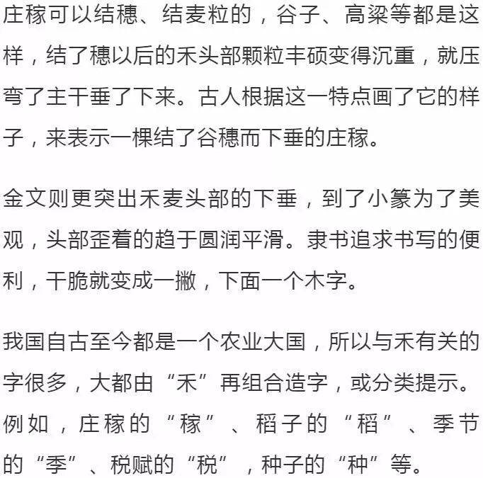 趣味学丨有故事的汉字【禾】