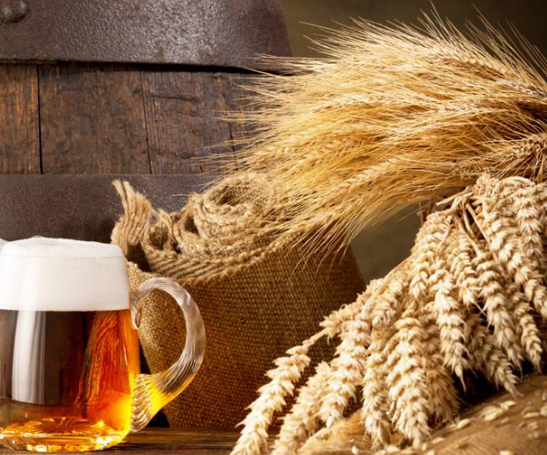 帝甲精酿精酿啤酒原料麦芽干燥的目的你必须知道