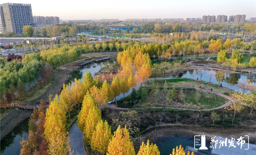 鄭州北龍湖溼地公園不同的季節不同的美