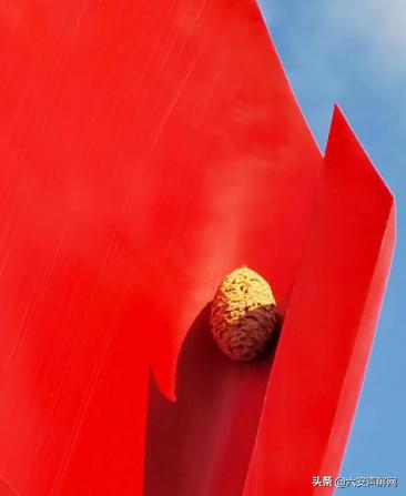 皋城广场大火炬惊现大马蜂窝