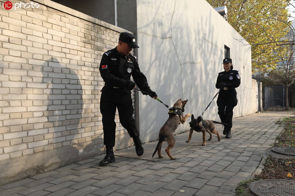 北京市公安局警犬大队图片