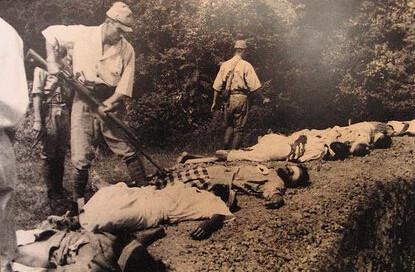 看了日军侵华期间的暴行,说日军是禽兽,都觉得是侮辱了禽兽