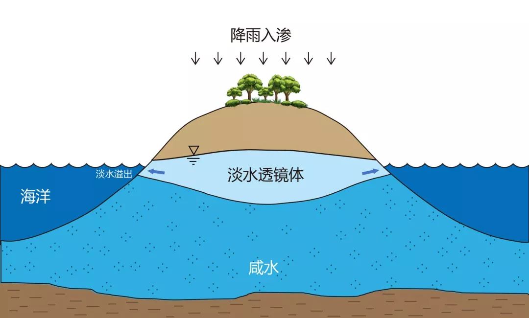 此前学界一直缺少有效方法控制海岛海水入侵及增加海岛淡水储量