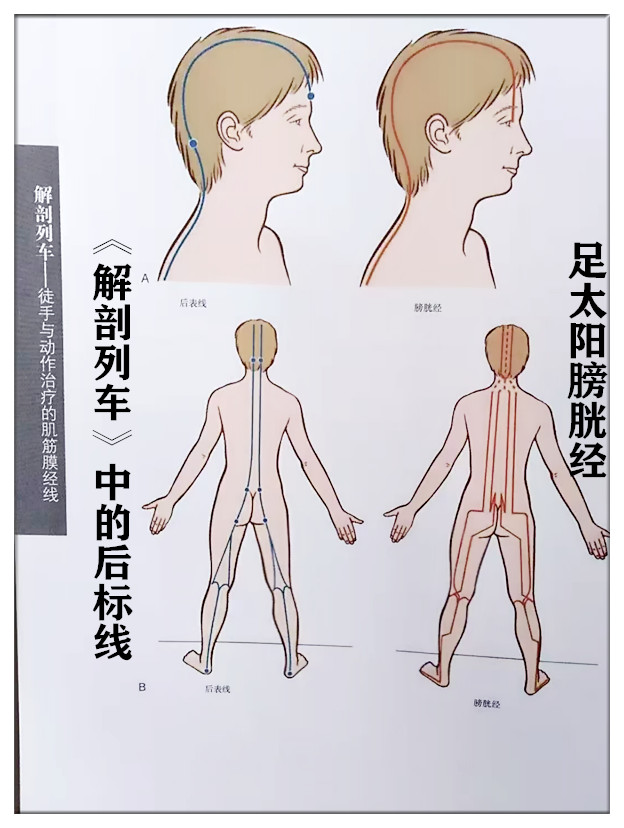 磕头行大礼治颈痛背痛腰痛是迷信还是真管用滕州推拿徐长芳