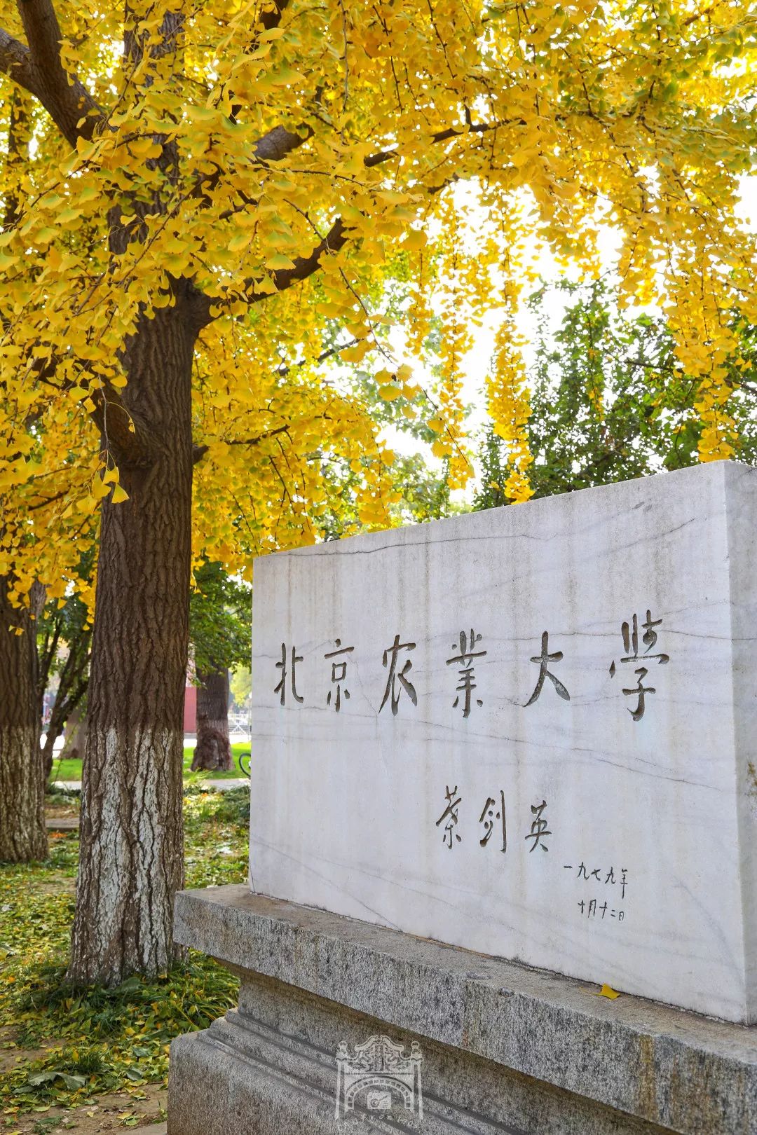 农大印象32个瞬间留住农大的秋天