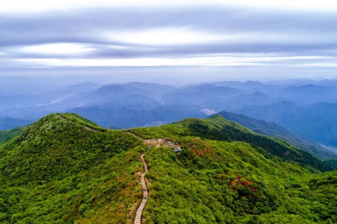 实证杭城西北最长的森林古道在这里百丈平天堂森林古道