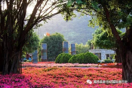 揭西—漳州東南花都—揭西早上指定時間地點集中後乘車前往漳浦馬口