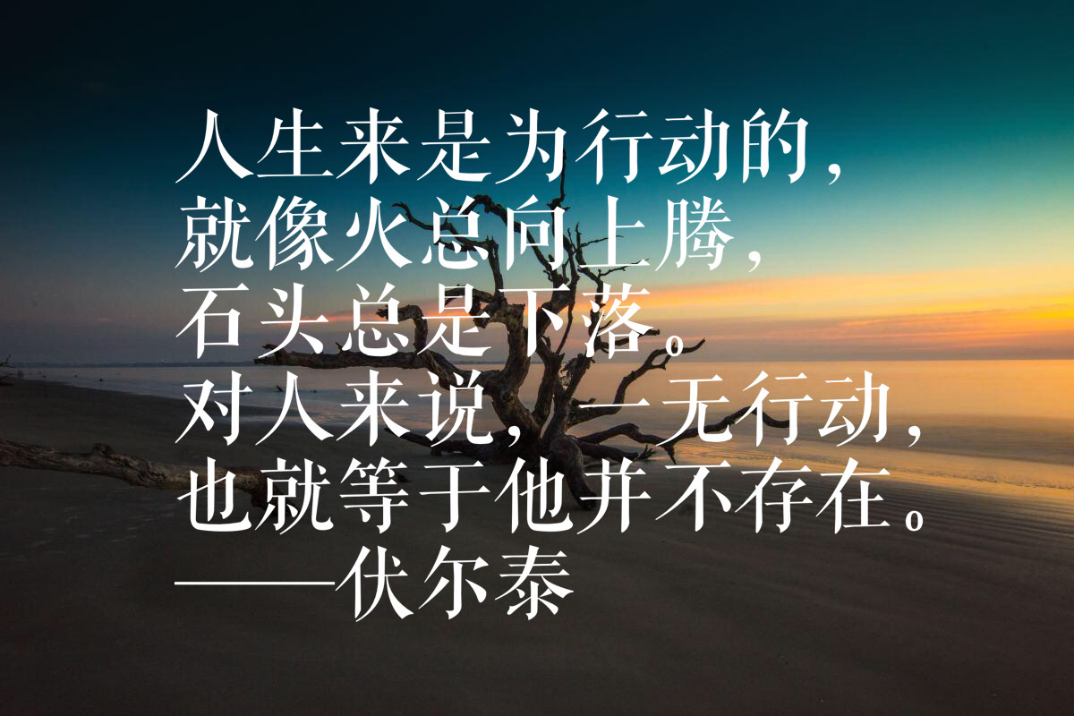 伏尔泰很有深度的十句话洞见人生大智慧字字千金值得珍藏