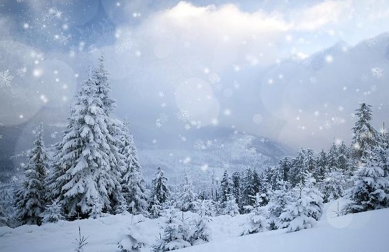 今年冬天雨雪多不多冬季偏冷還是偏暖看看古人的老農諺咋說