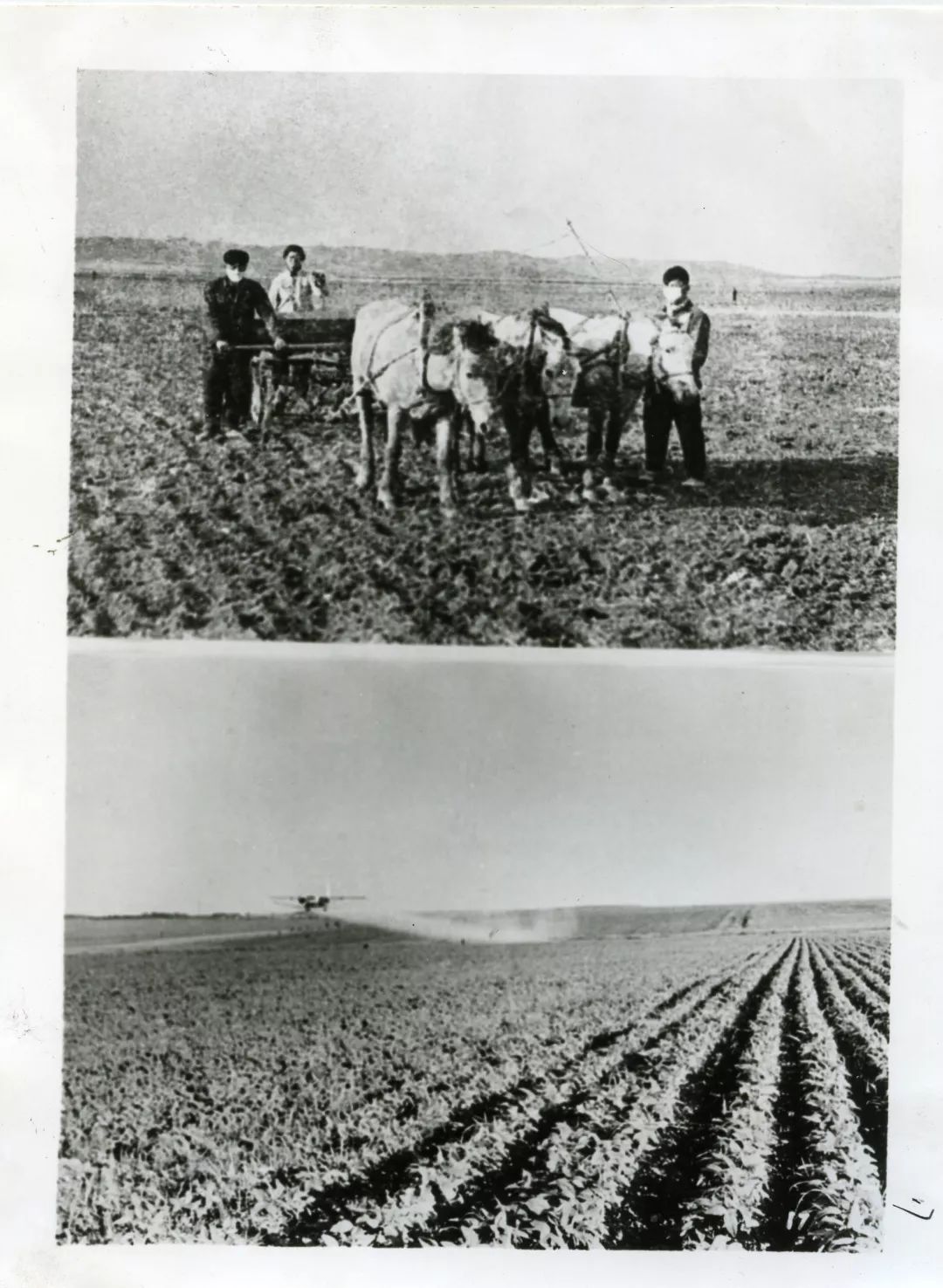 壮丽70年奋斗新时代珍藏老照片记忆中的萝北科技进步70年为工农业发展