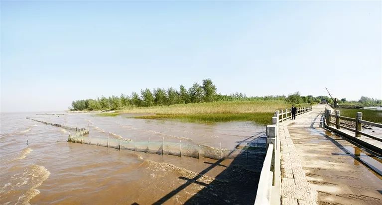 马洲岛:"世外桃源"入眼来