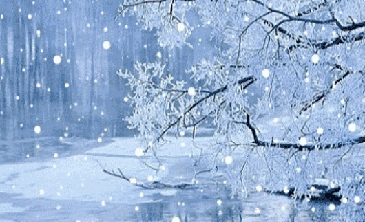 明日小雪一首飘雪的季节更想你送给大家美醉了