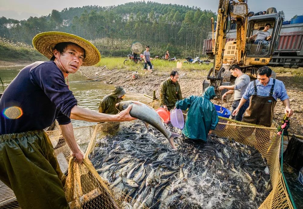 水产人我知道你很累但无处可退