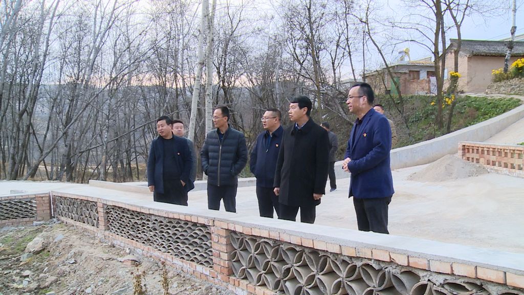 礼县雷王乡召开软弱涣散党组织整顿评估验收示范会