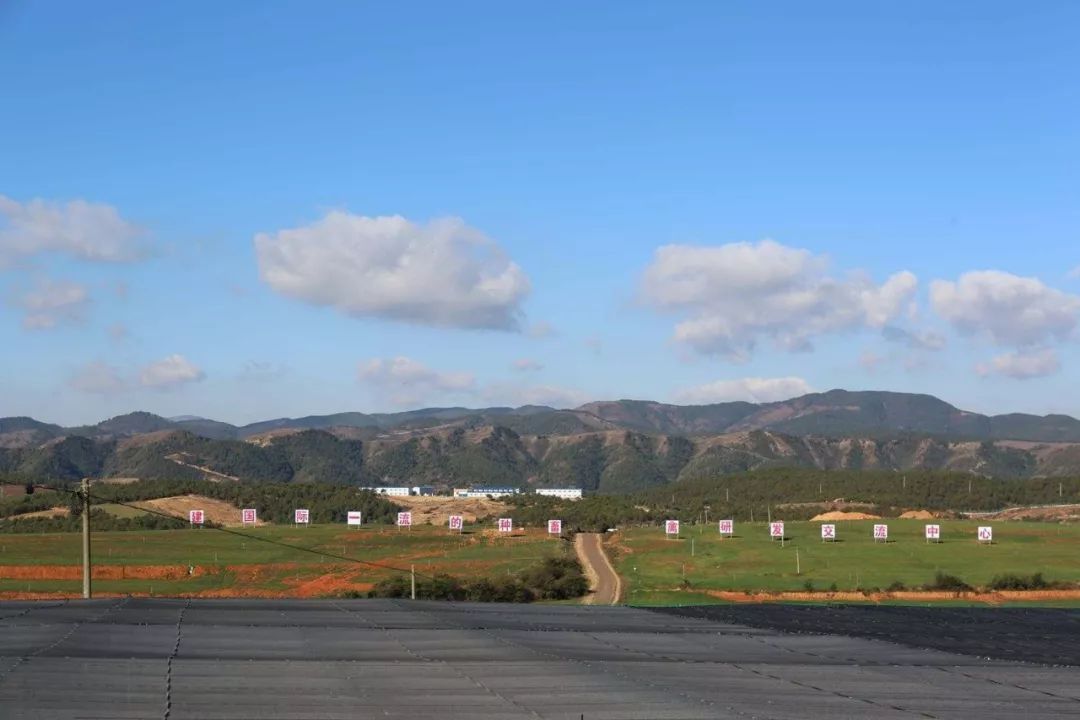 綠色康養福地馬龍全域旅遊的品牌創新之路