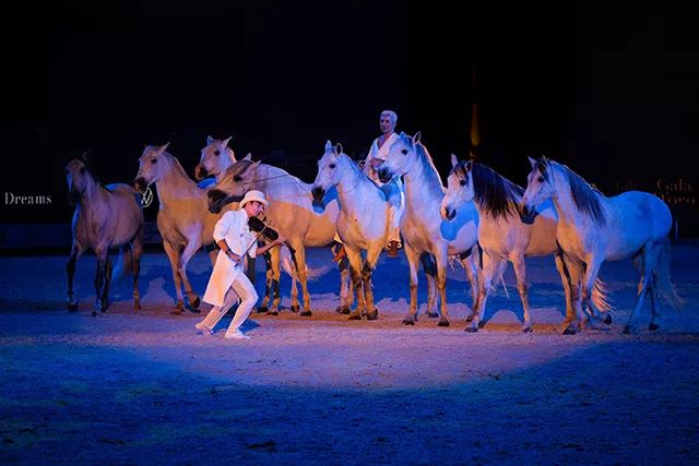 邂逅艺术天堂,维罗纳马展掀起爱马者心中的"情感旋风"