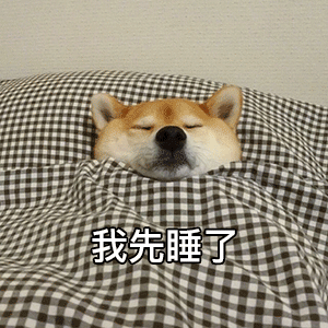 柴犬睡觉表情包图片