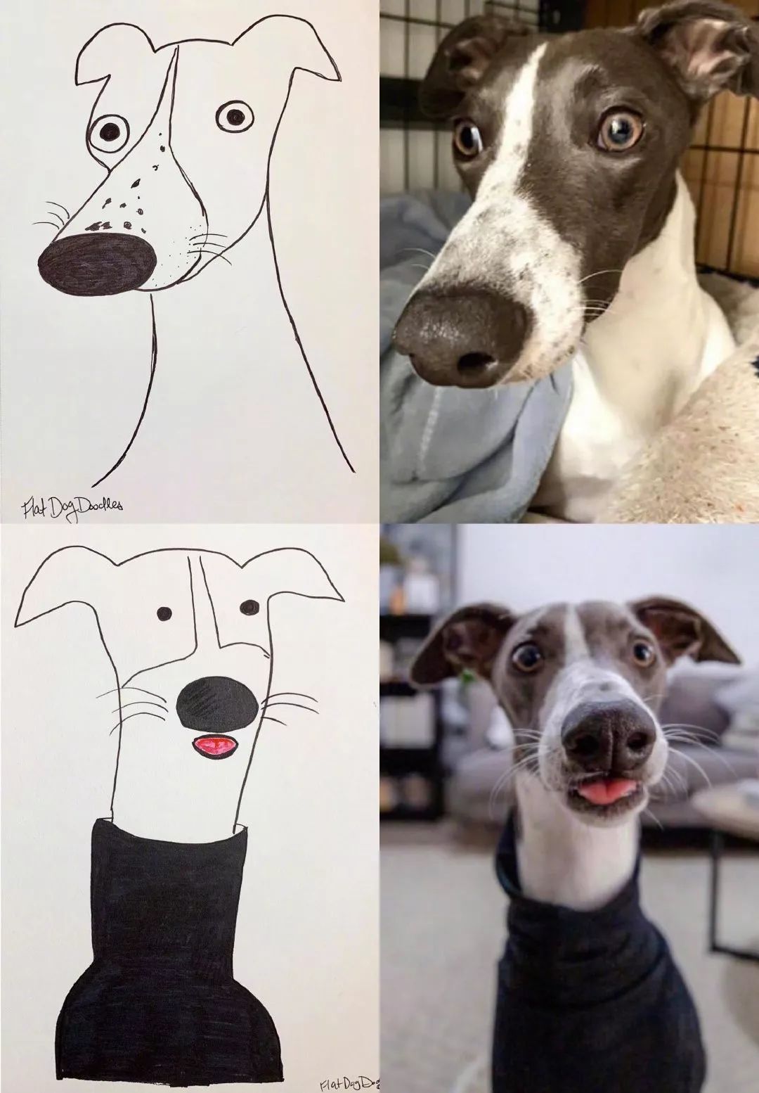 又是一位灵魂画手看他怎么画自家狗子