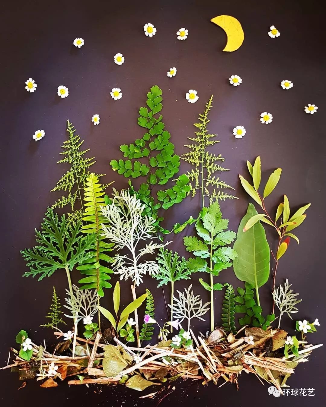 大家都是树叶凭什么它就成了手工工艺品呢